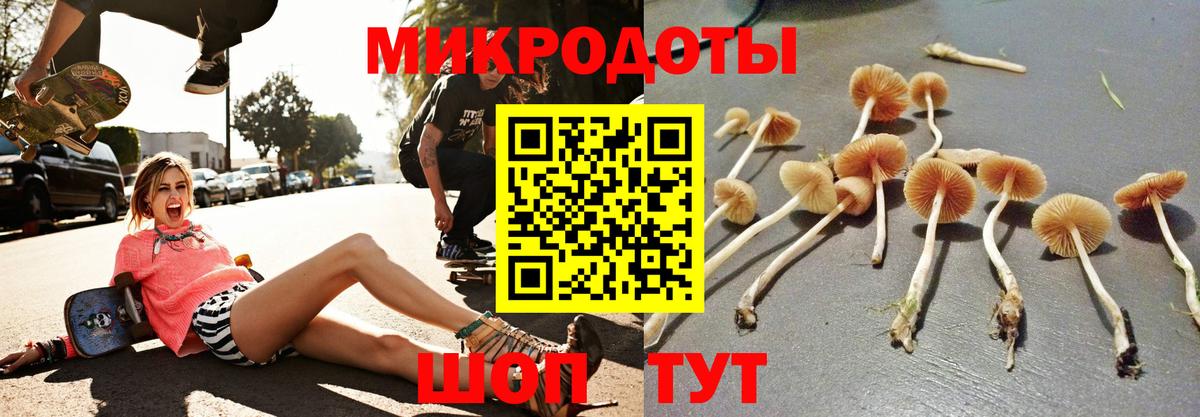 Псилоцибиновые грибы прущие грибы Тихорецк