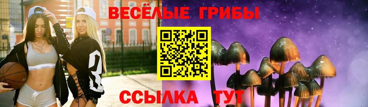 Тихорецк  Галлюциногенные грибы мицелий  купить наркотик  Вход с VPN 