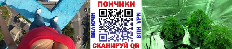 Марихуана ГИДРОПОН  Тихорецк 